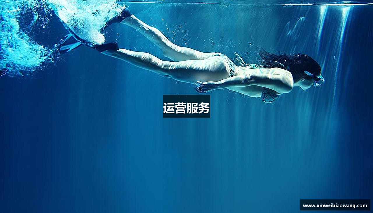 运营服务